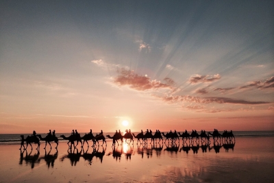 今日看盘（20260115）