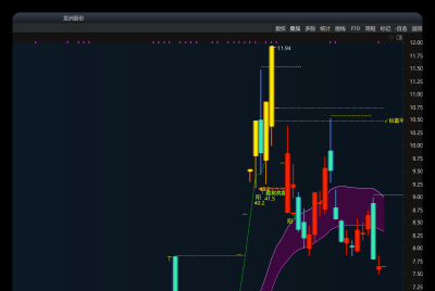 龙洲股份操作回顾